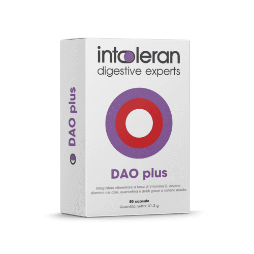DAO Plus