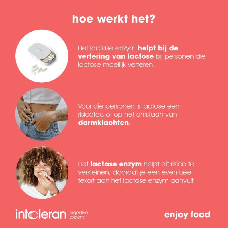 Lactase 20.000 50 breektabletten, bevat 20.000 FCC lactase Intoleran